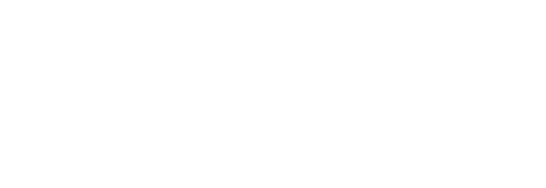 Logo CCES branco